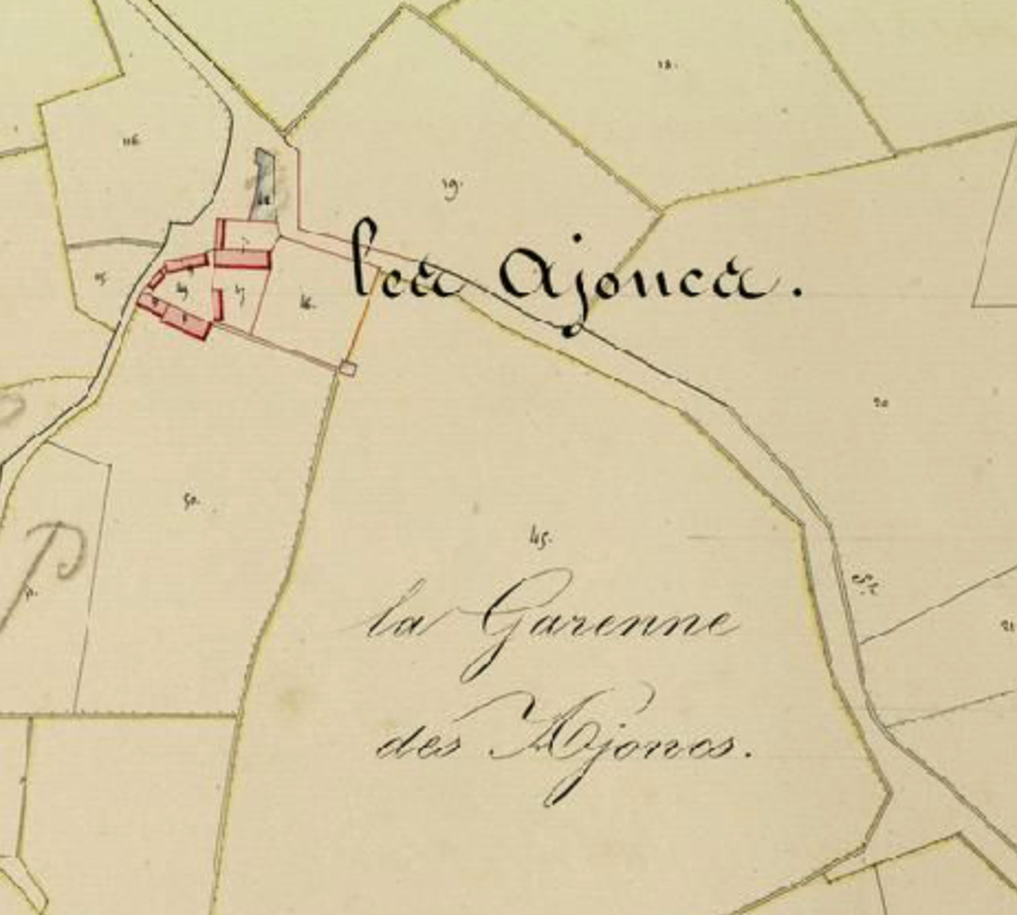 Les Ajoncs - Cadastre 1833